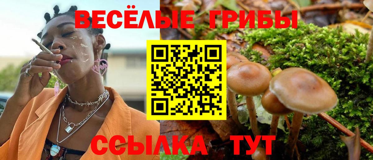 Cocaine  Каннабис  Гашиш  Вход с VPN  Экстази  МЕФ кристаллы  Черкесск  ГАШИШ 