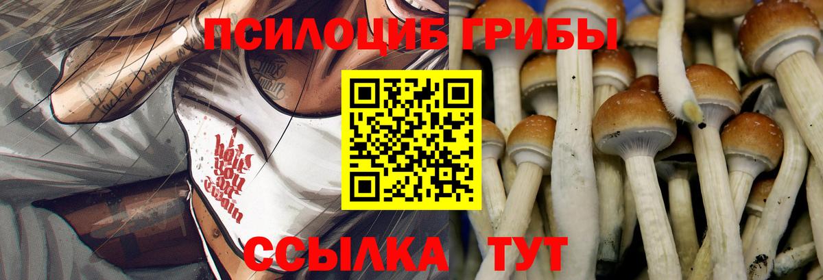 Галлюциногенные грибы MAGIC MUSHROOMS Черкесск