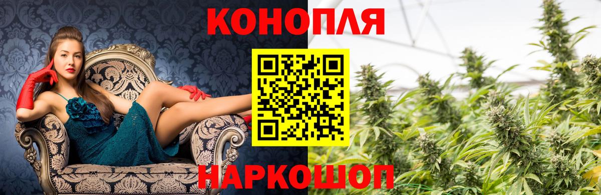 Бошки Шишки OG Kush Черкесск